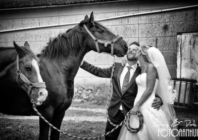 reportage met paard trouwreportage Spiere-Helkijn