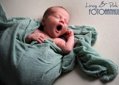 newborn baby fotoshoot Harelbeke