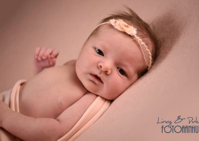 newborn baby fotoshoot Lendelede
