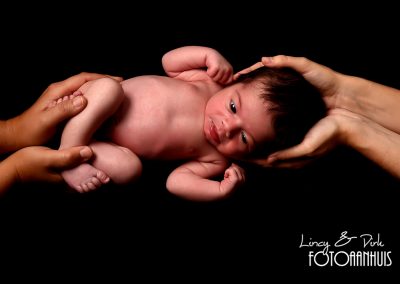 newborn baby fotoshoot Wevelgem