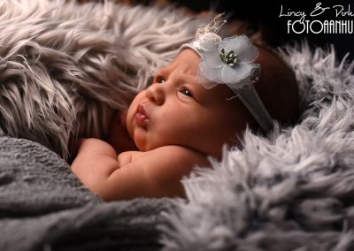 newborn baby fotoshoot Zulte